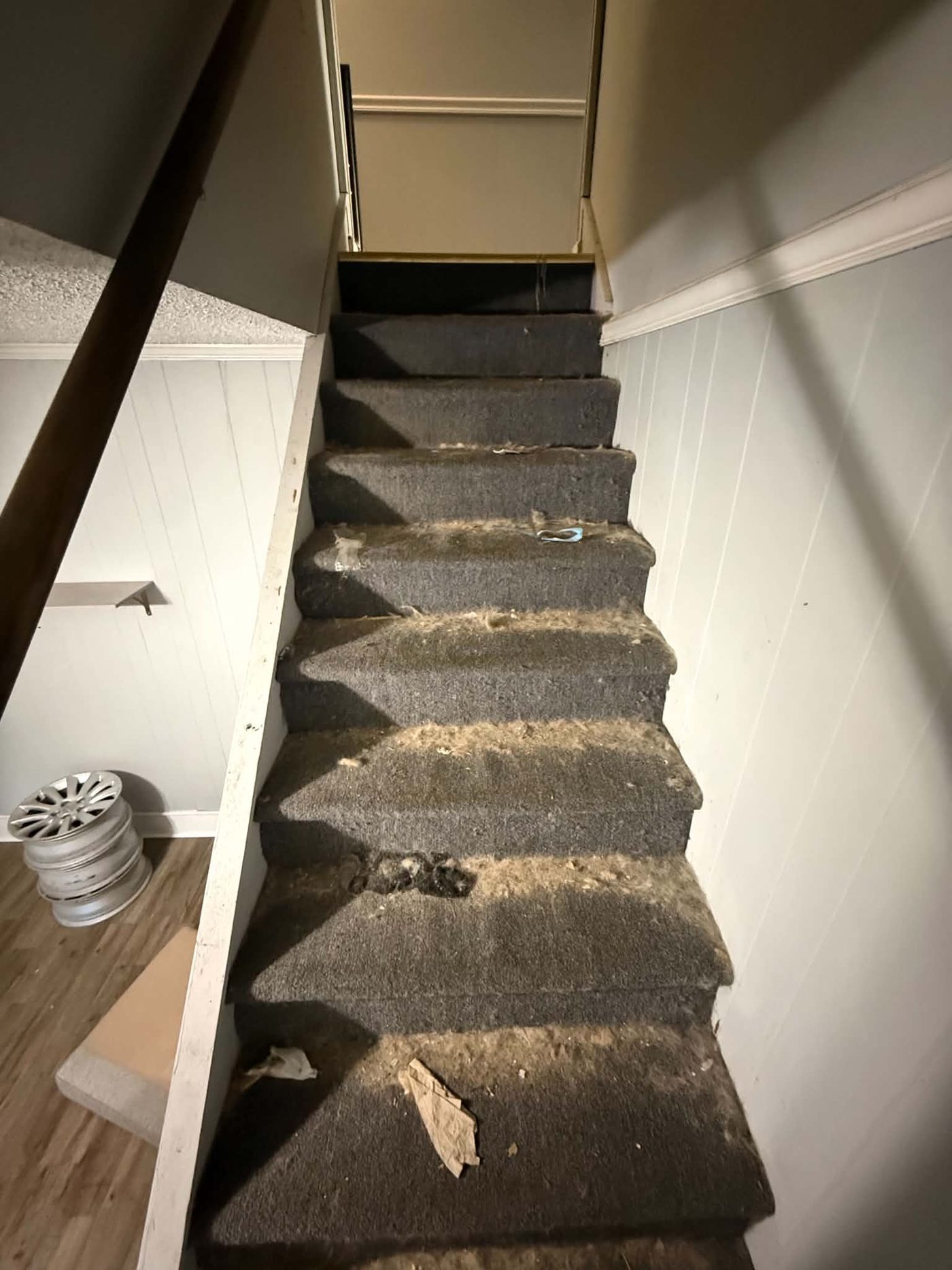 Steep carpeted staircase, heavily soiled and worn, with debris on the treads