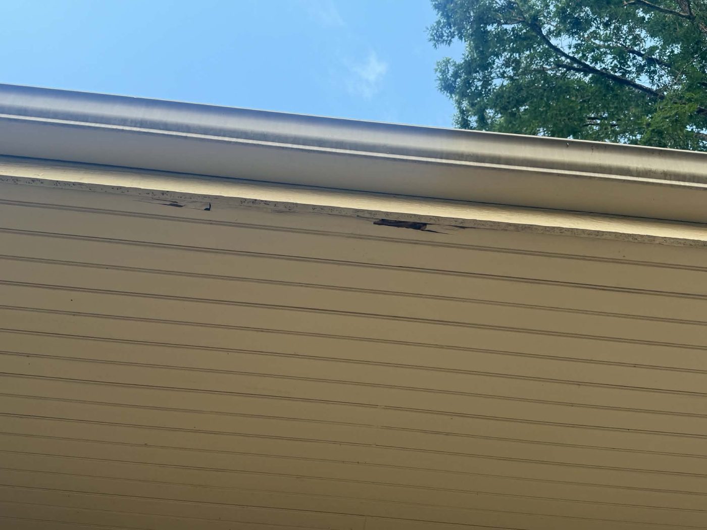Damaged and rotted fascia board visible beneath a gutter, with paint failed and wood exposed